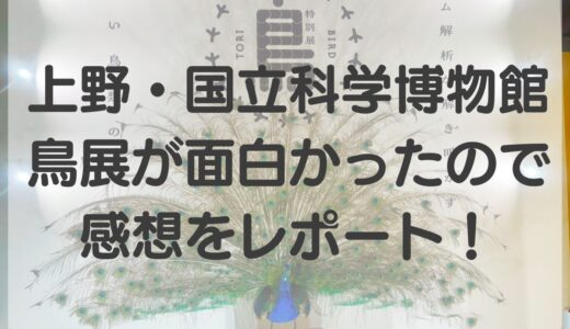 上野の国立科学博物館（科博）の鳥展が面白い！感想をレポート！