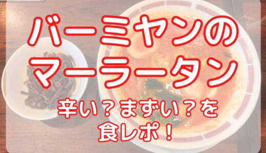【食レポ】バーミヤンのマーラータン（麻辣湯）は辛さどれくらい？まずい？